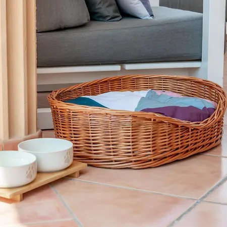 ヴィラ Guzman - Bellissima *